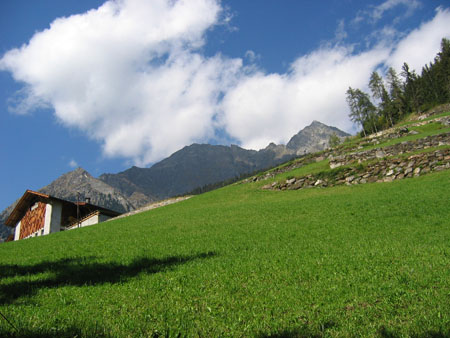 herrliche Bergwiesen herrliche Bergwiesen