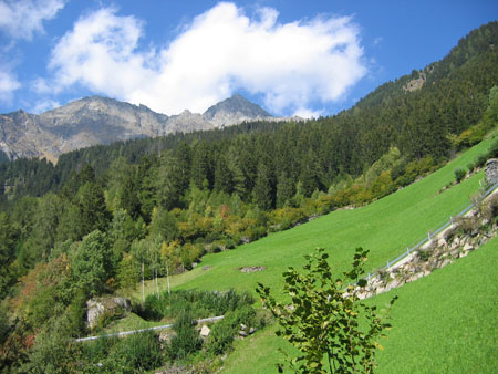 herrliche Bergwiesen herrliche Bergwiesen