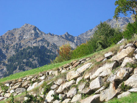 Die Texelgruppe Die Texelgruppe